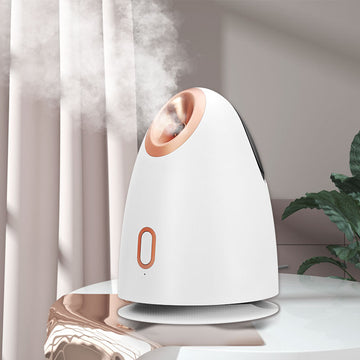 Face Steamer Thermal Spray Water Nano Thermal Spray Mini Water Replenishing Equipment