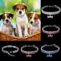 Fashionable dog collar jewelry