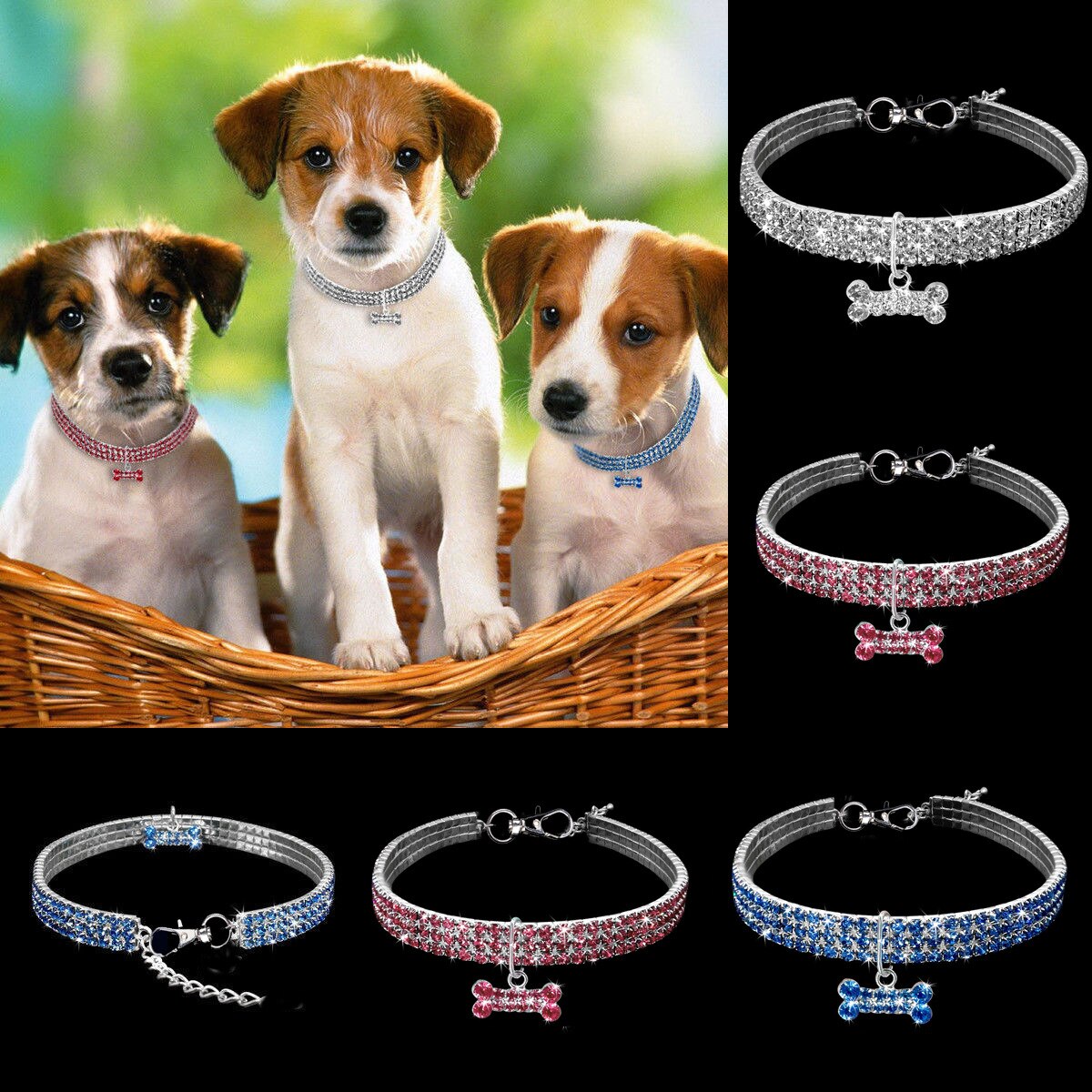 Fashionable dog collar jewelry