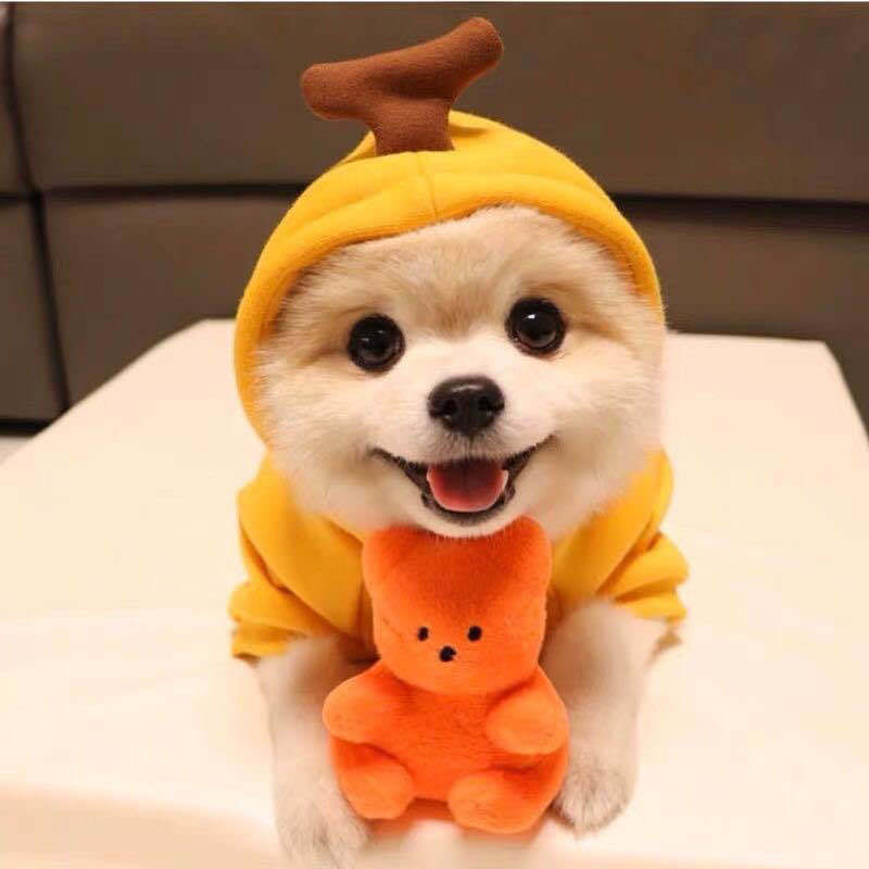Winter fleece for cats and dogs