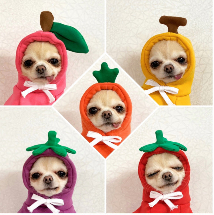 Pet clothes for medium-sized cats