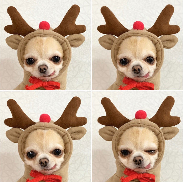 Winter sweatshirt for small pets