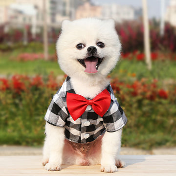 Seasonal Dog Shirts and Wedding Suits – Spring, Summer, Autumn Clothing for Pets, Cats, and Teddy Dogs