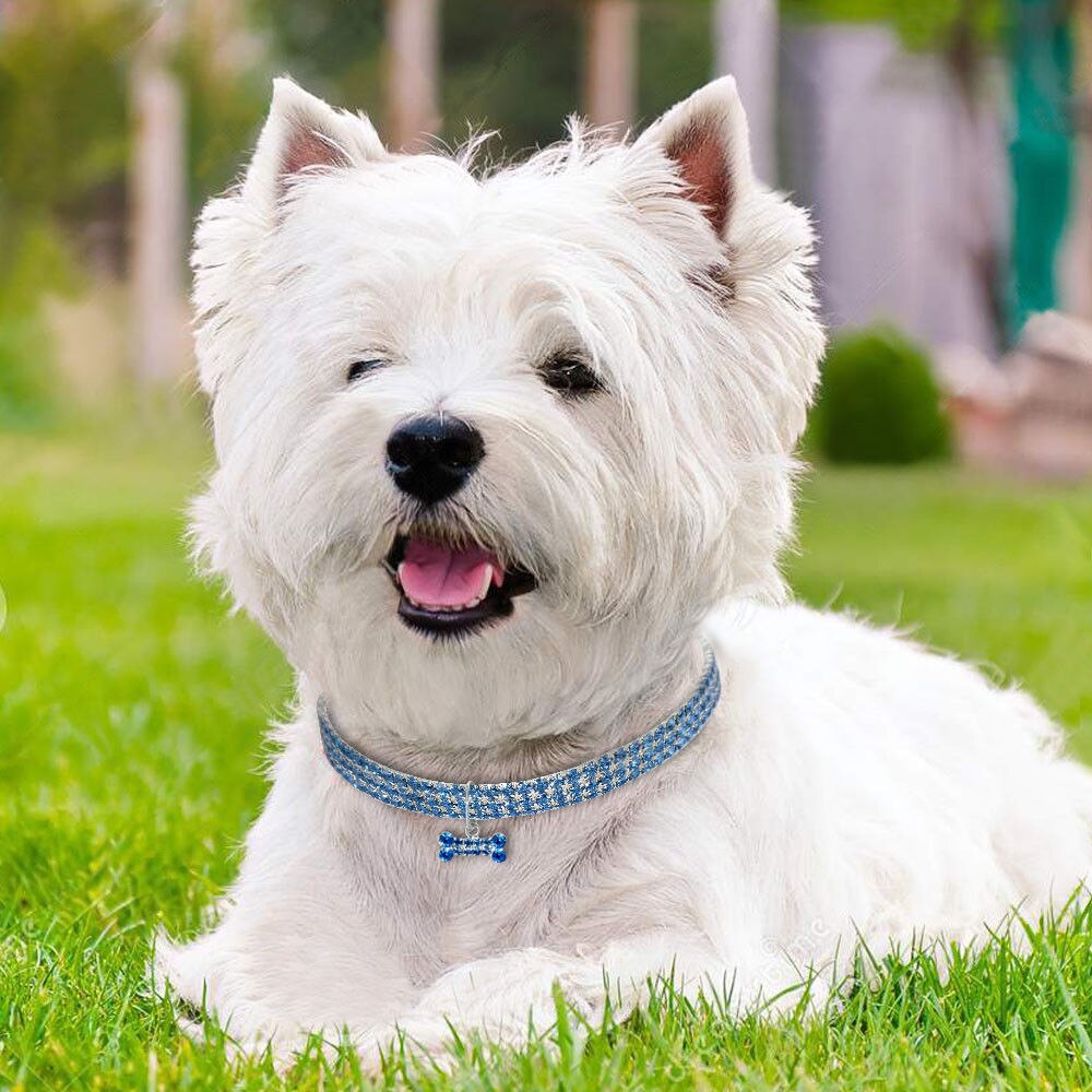 Stylish pet collar necklace