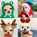 Autumn and winter pet sweatshirt