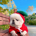 Medium-sized pet fleece hoodie