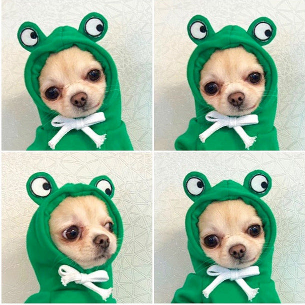 Small dog sweatshirt for cold weather