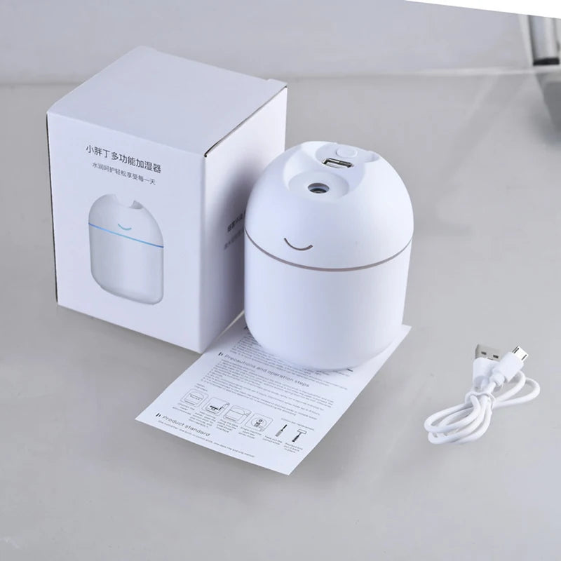 China ultrasonic 250 ml mini air humidifier